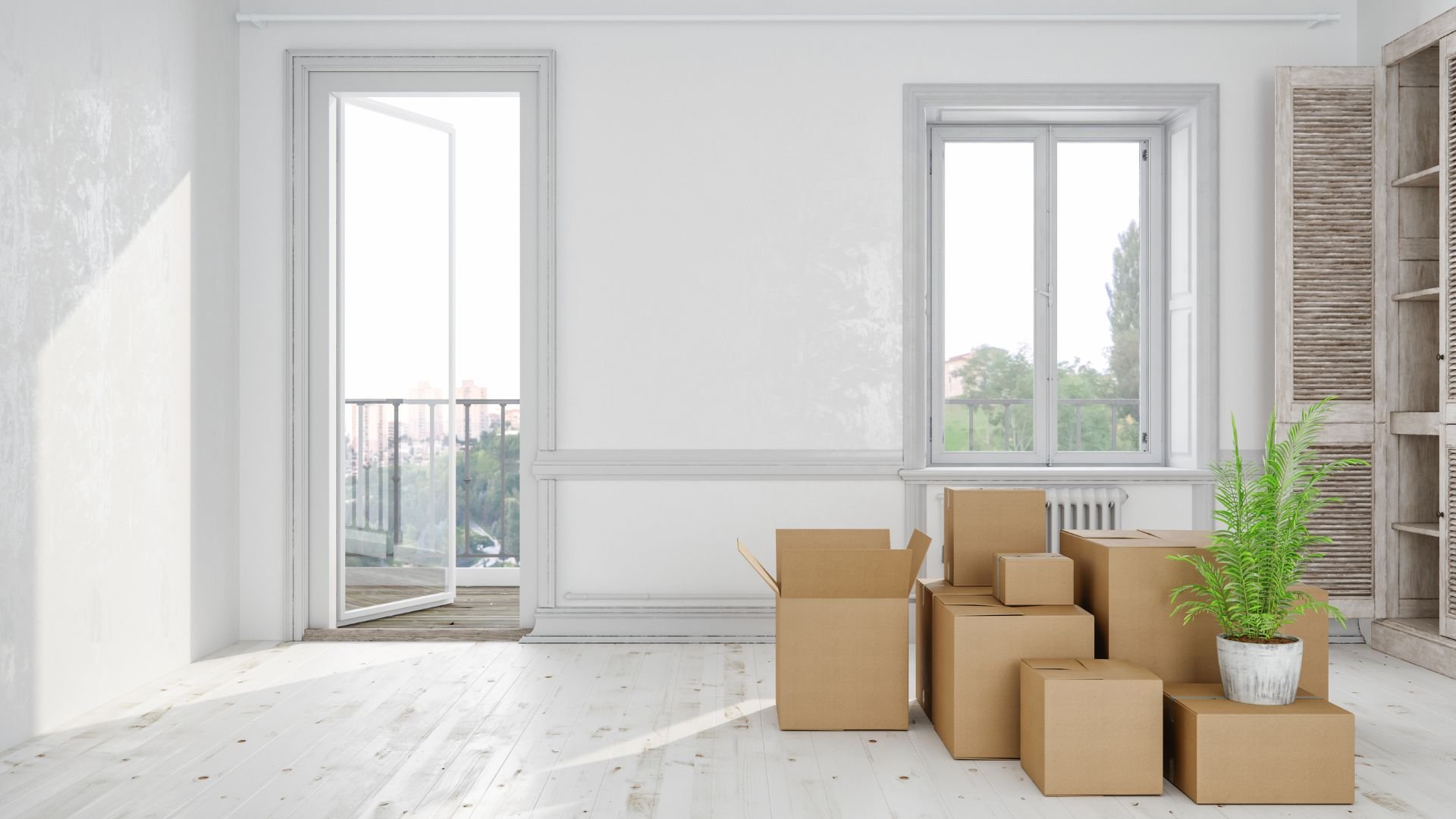 Empty room with cardboard moving boxes and plant by window